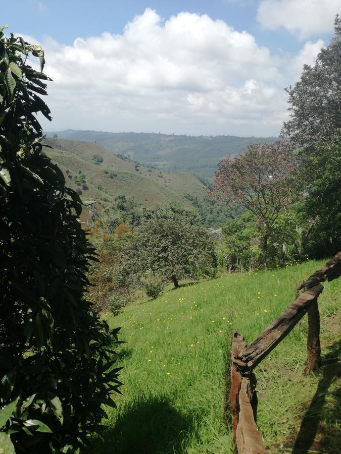 Ecorefugio Las Mirlas Salento Extérieur photo