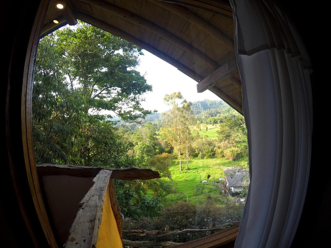 Ecorefugio Las Mirlas Salento Chambre photo