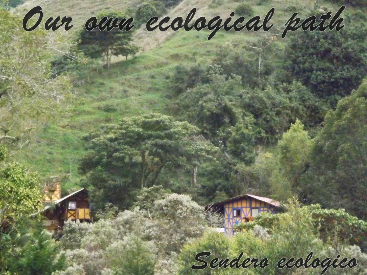 Ecorefugio Las Mirlas Salento Extérieur photo